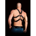 Andres Chest Harness | Mens Harness - Teddies