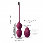 Remote Controlled Silicone Vibrating Kegel Balls - Purple | Kegel Balls