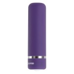 Bullet Δονητής Evolved Petite Purple Passion Bullet Vibrator - Μωβ | Bullet Δονητές
