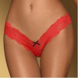Penthouse Dangerous Darling Brazilian Panty - Red | Plus Size Panties - G String