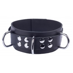 Ultra Black Leather Collar with Rings | Collars