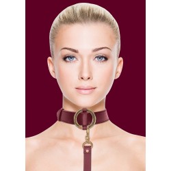 Luxurious Collar with Leash | Collars