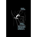 Anal Adventures Prostate Stimulator - Black | Prostate Massagers