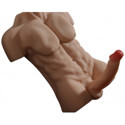 Masturbator Articulated Bust and Penis Torso Man Sex 20cm | Large Male  Masturbators