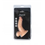 Κυρτό Ομοίωμα Πέους με Όρχεις & Βεντούζα David Curved Realistic Dildo with Suction Cup & Balls 18 cm - Φυσικό Χρώμα | Ομοιώματα Πέους