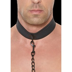 Neoprene Collar with Leash - Black