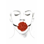 Φίμωτρο με Μπάλα Σιλικόνης Τριαντάφυλλο Rose Silicone Ball Gag - Κόκκινο | Φίμωτρα